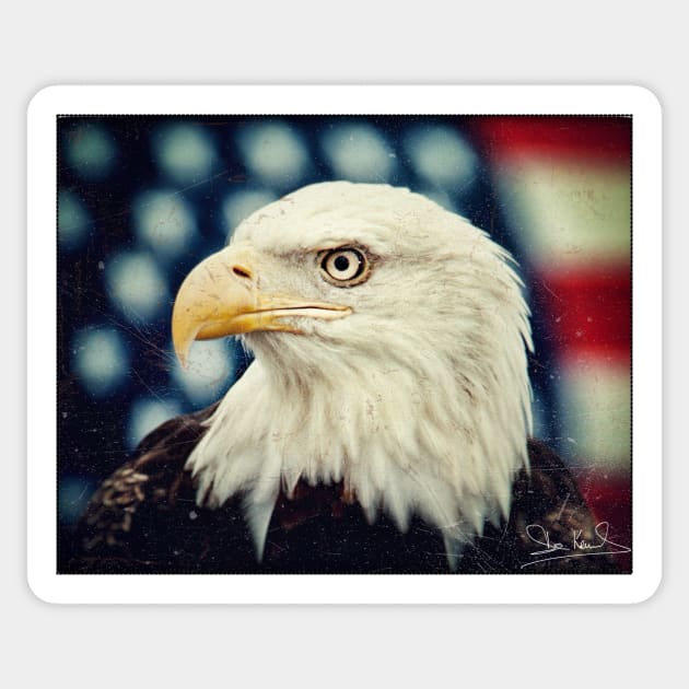 Bald Eagle - Freedom and Power - Patriotic Symbol Sticker by Art2Wear
